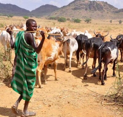 WhatsApp Image 2025-09-06 at 13.31.44_7740a1cb